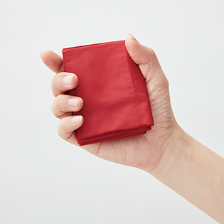 MOTTERU　エコバック