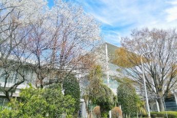 芝浦工業大学_8